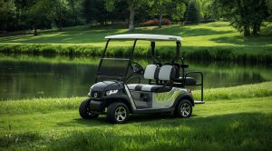 Best Electric Golf Push Cart with Remote for the Money